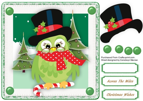 Cute Grampa Owl 