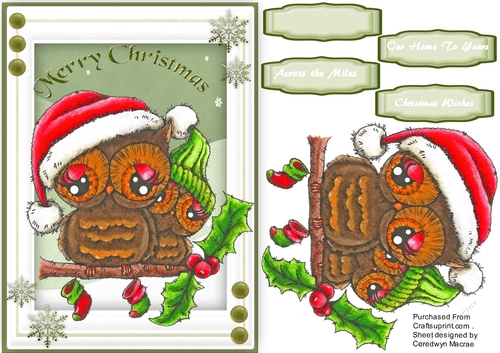 Have a Hooting Christmas 