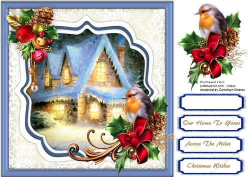 Beautiful Christmas Home and Robin 