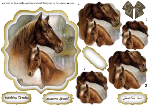 Lovely Mare and Foal ,