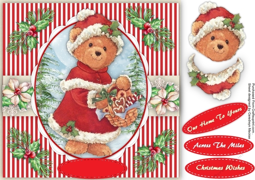 Beautiful Mrs Santa Bear and her Basket 