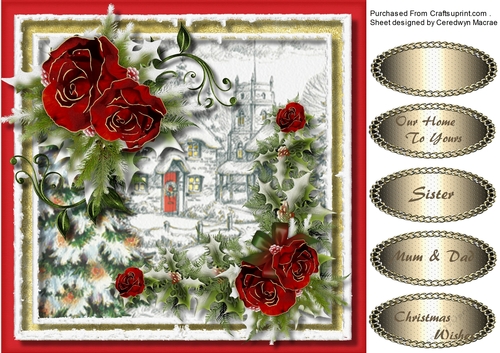 Beautiful Christmas Roses