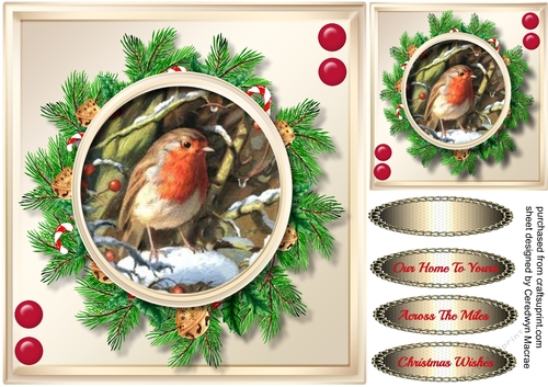 Beautiful Robin in a Christmas Wreath