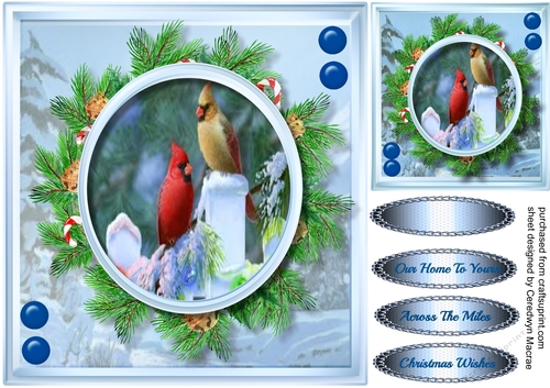 Beautiful Cardinals in a Christmas wreath