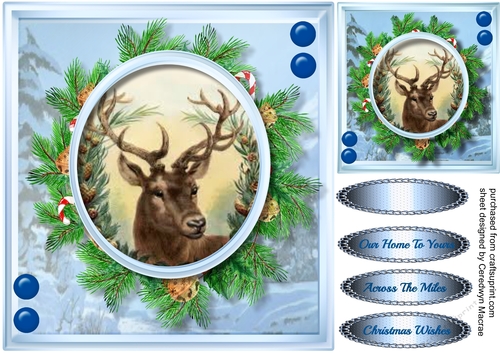 Beautiful Stag in a Christmas wreath