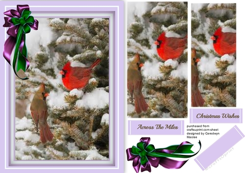 Cardinals in the Snow 