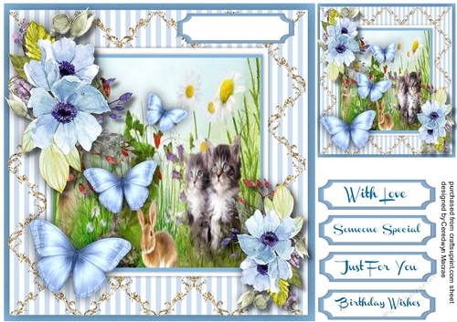 Kittys With the Butterflys 