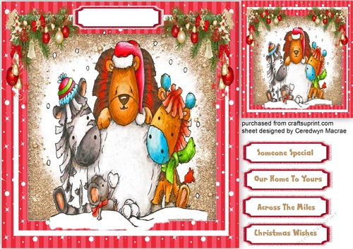 Animal Snow Play 