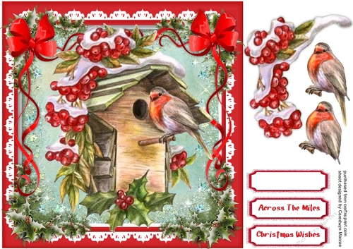 The Robins Christmas Nest 