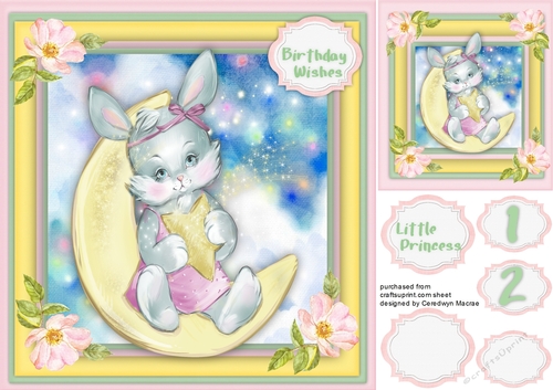 Little Bunny on the Moon