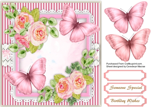 Summer Roses and Butterflys 
