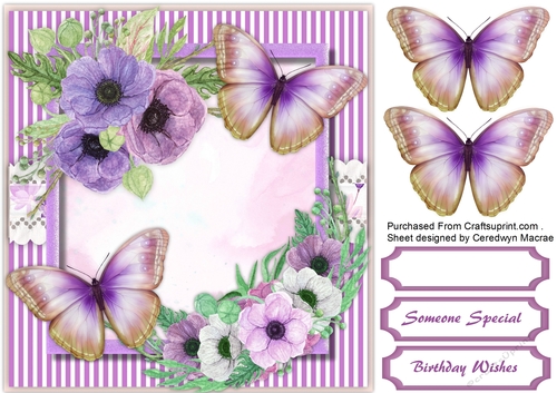 Violet Anemones and Butterflys