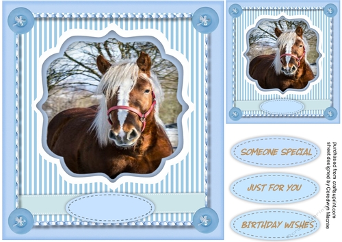 Beautiful Horse in the Meadow , 