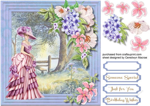 Vintage Lady in Pink 2