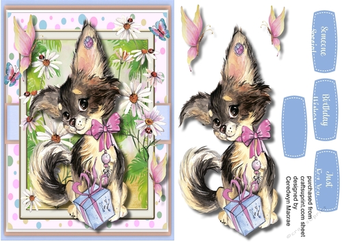   A5, Adorable Chihuahua Among the Daisys 