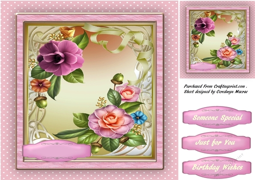 Beautiful Camellia Flowers 