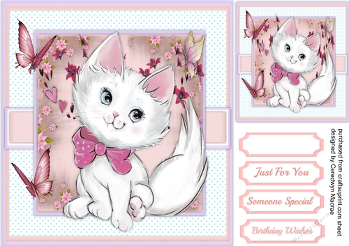 Little Miss Purr-Fect 