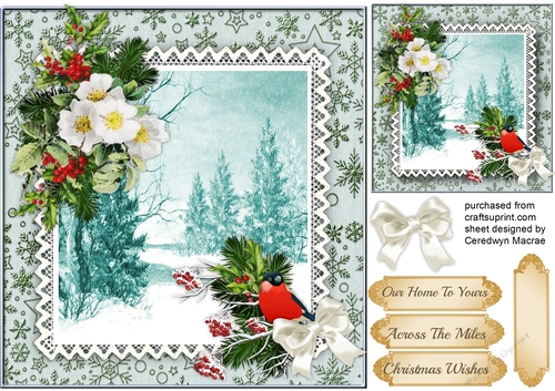 Beautiful Christmas Roses and Scene 