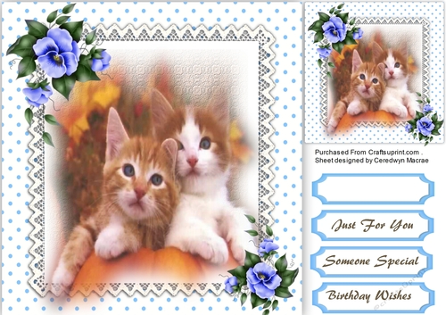 Beautiful Kittens and Blue Pansys 