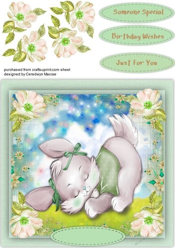 Little Bunny Asleep in the Field 