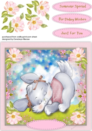 Little Bunny Asleep in the Field 