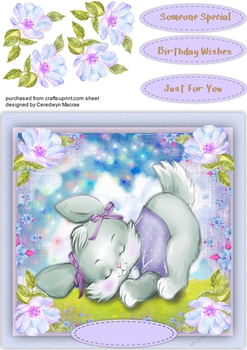 Little Bunny Asleep in the Field 