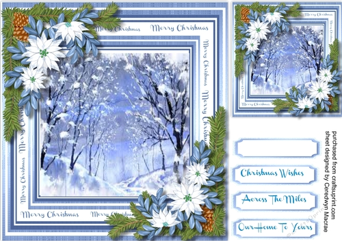Countryside snow scene with Poinsettias 