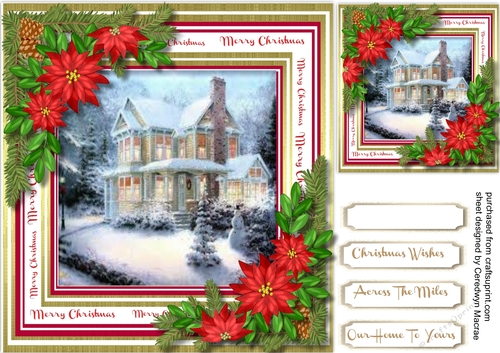 Beautiful Christmas Houise and Poinsettias 