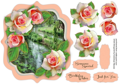 Beautiful Blush  Roses and Water Scene