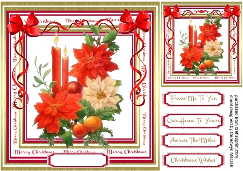 Beautiful Candles and Poinsettias 