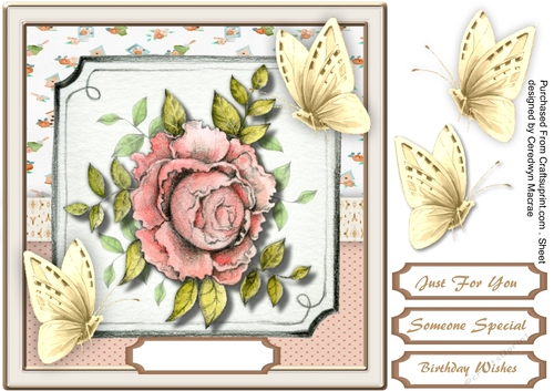 Lovely Pink Roses and Butterflys 