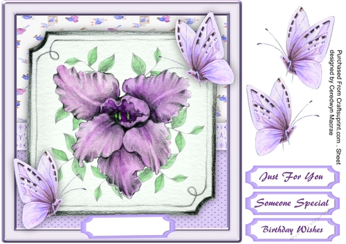 Stunning Lilac Orchid and Butterflys 