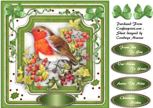 Robin in the Holly Bush 