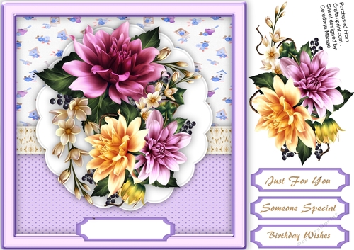 Beautiful Lilac and Cream Dahlias 