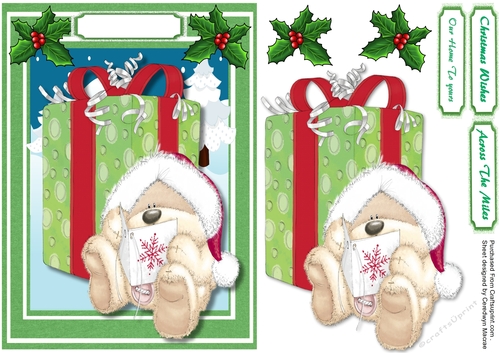 Teds Christmas Card 