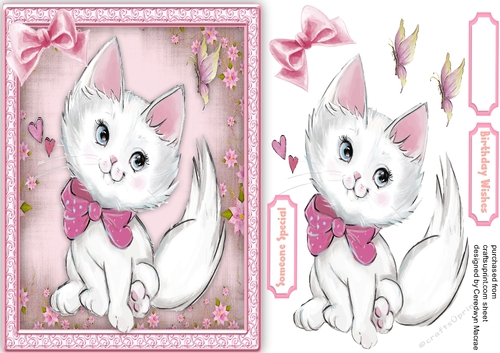 Miss Purr-fect  and The Butterfly