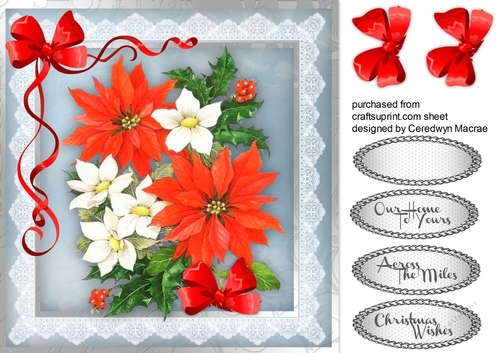 Beautiful Poinsettia and Christmas Roses 