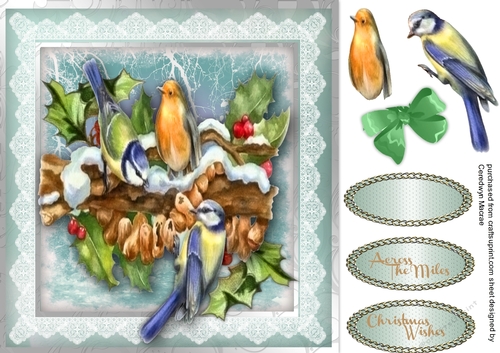 Beautiful winter Birds and Peanuts 