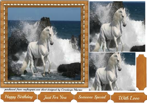 White Stallion in the Water 