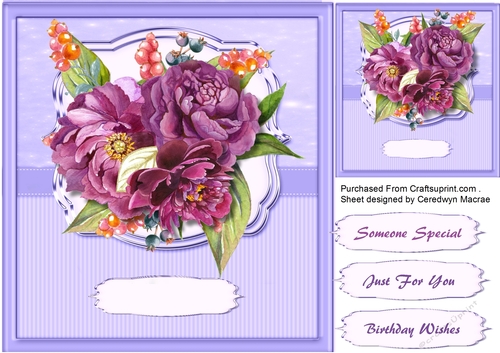 Beautiful Lilac Peonys 