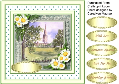 Beautiful Daisys and Catherdral scene 
