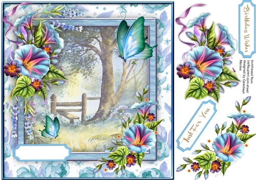 Butterflys and Country Style