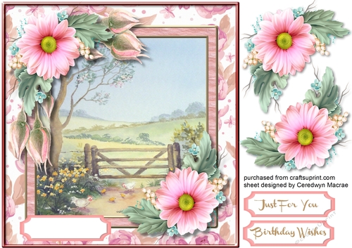 Roses and Daisys at the Garden Gate 