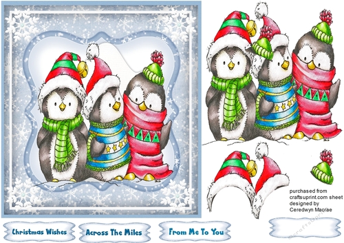 Three Chilly Penguins 