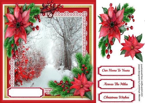 Beautiful Snow scene and red Poinsettias 