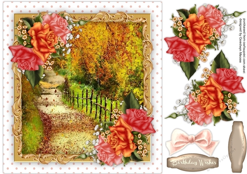 Beautiful Autumn Walk 1