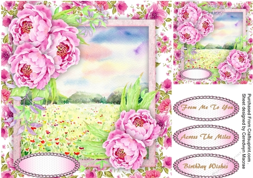 Beautiful Pink Delights 