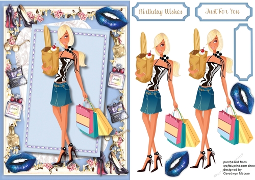 Modern Miss shopping Girl  5