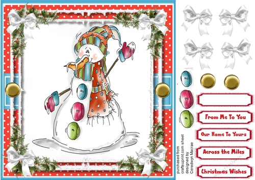 The Wrapped up Snowman 