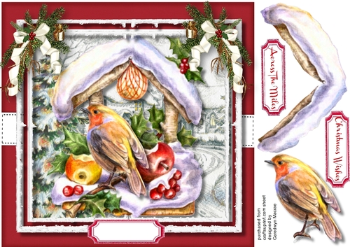 Beautiful Robin on the Fruit Table 
